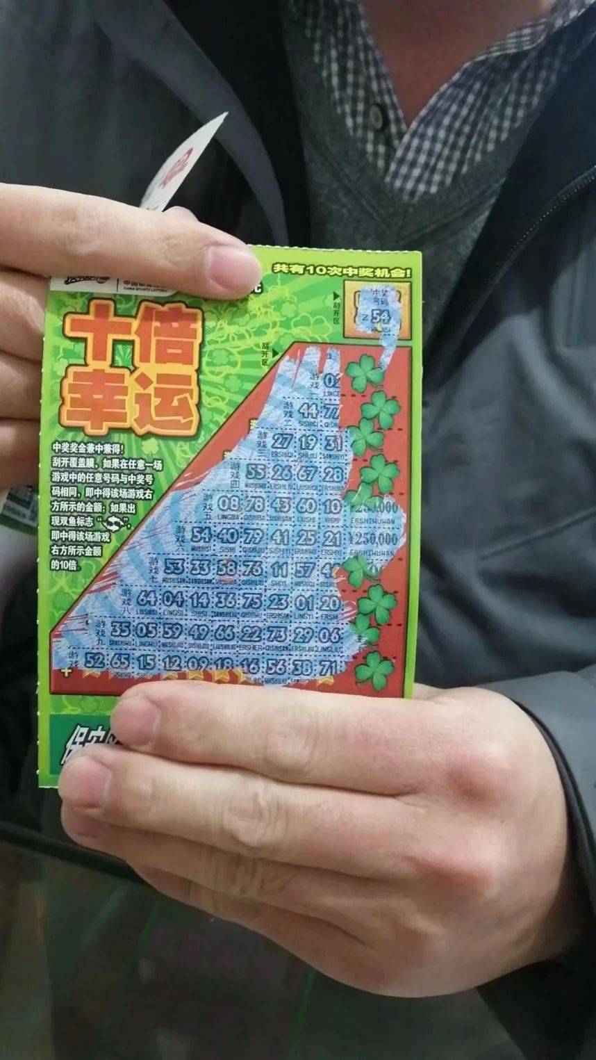 王中王四肖必中一肖中特,揭秘彩票背后的秘密与策略,揭秘彩票背后的秘密与策略,王中王四肖必中一肖中特技巧解析