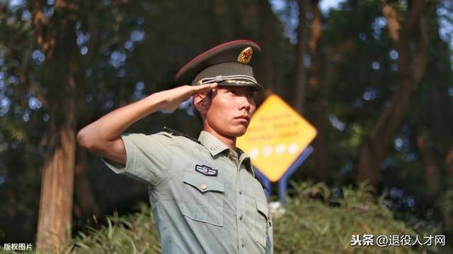 士官与军官,差异与价值的探讨,士官与军官,差异分析及其价值探讨