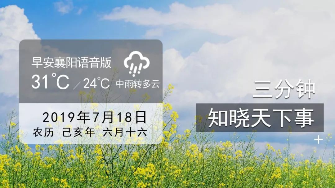 每期必中三中三,揭秘彩票背后的秘密策略与心态调整,揭秘彩票中奖策略与心态调整,每期三中三的秘密探讨