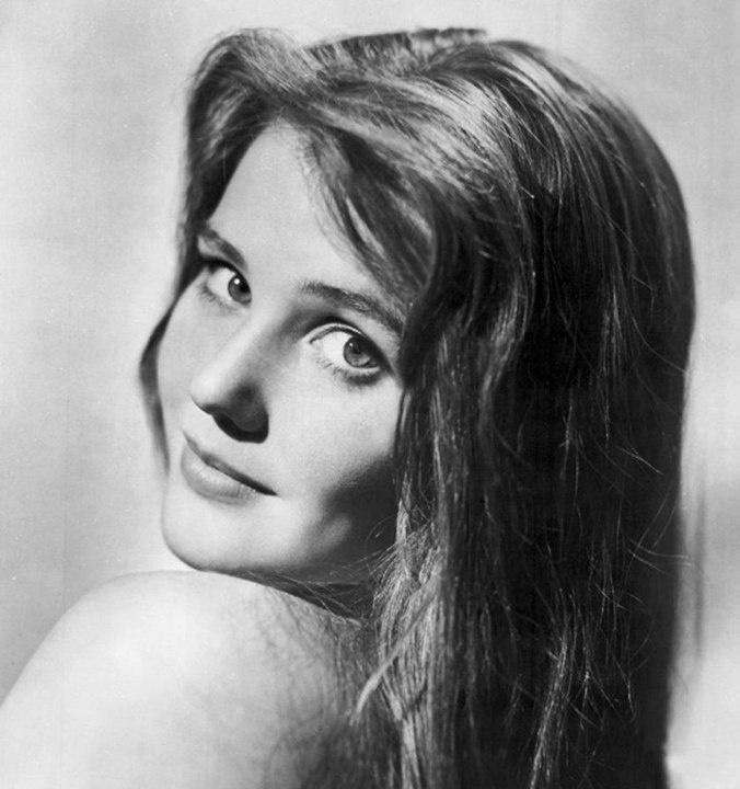 中国人民解放军空军与电影艺术的完美结合,飞翔的银幕英雄,中国人民解放军空军与电影艺术的融合,飞翔的银幕英雄风采