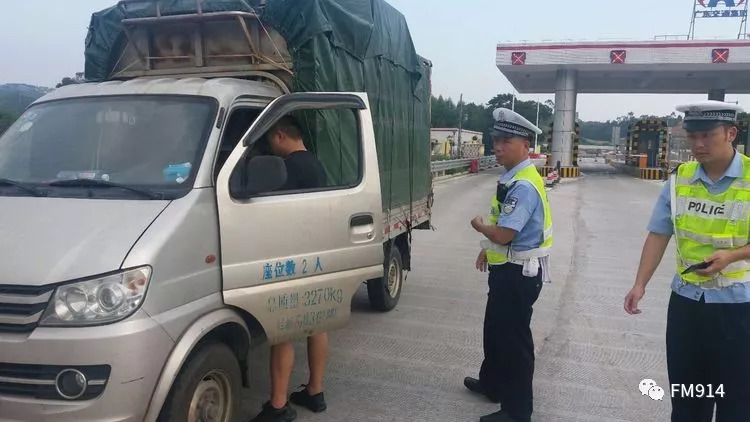 临终高速王中王打一生肖——探寻生肖之王的奥秘，探寻生肖之王的奥秘，临终高速王中王打一生肖