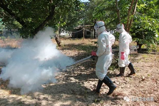 台湾登革热本地病例最新消息,全面防控与积极应对,台湾登革热最新本地病例动态,全面防控,积极应对挑战