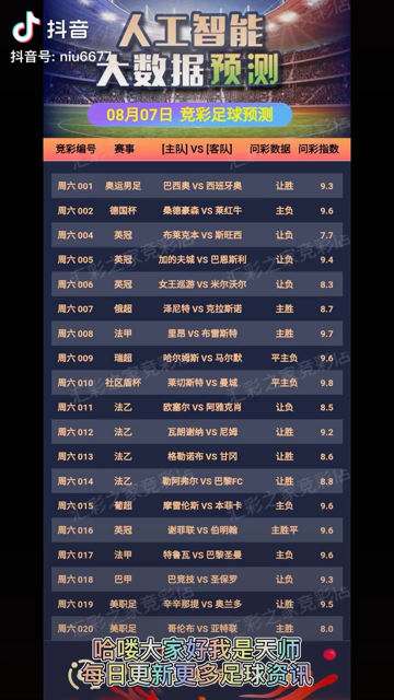 新奥天天免费资料大全,深度探索与体验,新奥天天免费资料大全,深度探索与极致体验