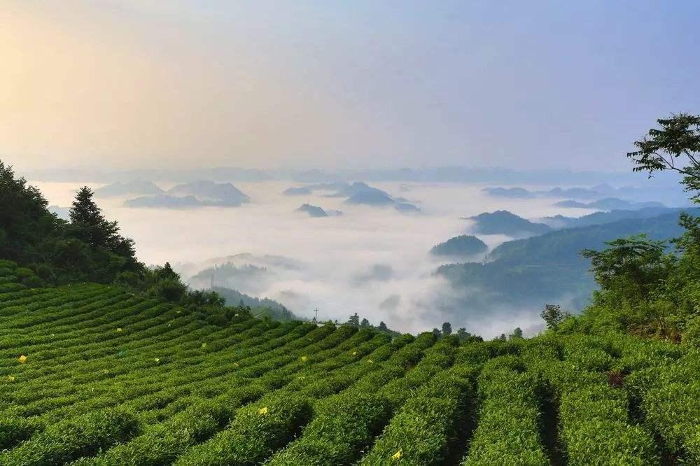 遵义舰，中国海军力量的骄傲与荣耀（第107篇），遵义舰，中国海军力量的璀璨明珠（第107篇）