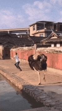 今天是什么日子?黄历解读下的特殊时光,黄历解读,今日时光的特殊意义