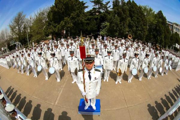 检阅方阵队形,秩序与力量的完美展现,检阅方阵队形,秩序与力量的震撼展现