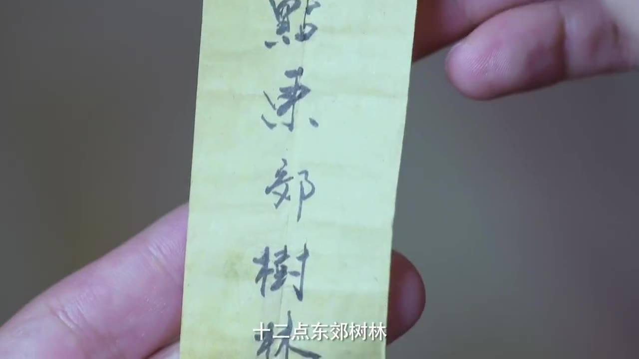 秦汉生将军,英勇无畏的战士,忠诚的国家公仆,秦汉生将军,英勇忠诚的国家战士