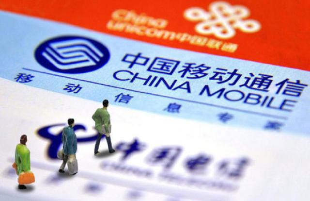 一肖三码王中王与中特之秘,揭秘一肖三码王中王与中特之神秘面纱