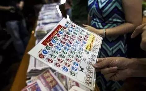 WW777766香港开奖结果正版详解,WW777766香港开奖结果正版详解与解析