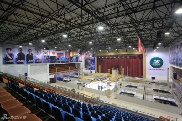 王中王一肖一马期期中中——探寻成功背后的秘密，探寻王中王一肖一马的成功秘诀，期期中中的背后秘密