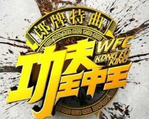 一肖特王中王,传奇与荣耀的交融,一肖特王中王,传奇荣耀的交融时刻