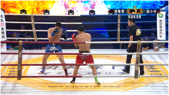 王中王周天师一肖平特,神秘力量的交汇与传承,王中王周天师一肖平特,神秘力量的传承与交汇