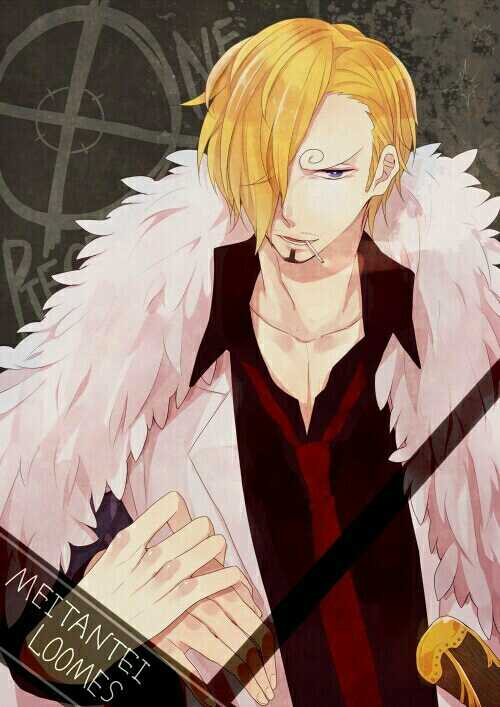 海贼王中的王一肖中特,探索与解读,海贼王中的王一肖中特,深度探索与解读