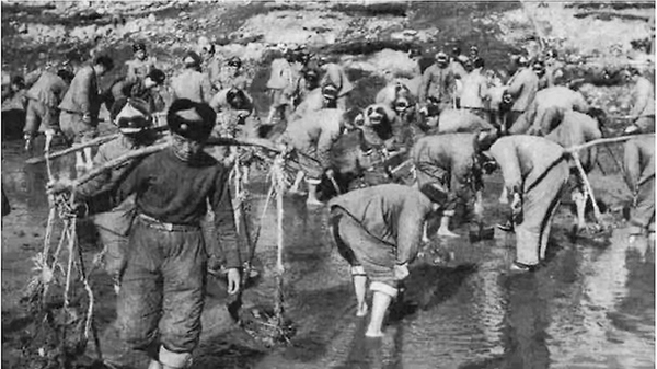 中国人民志愿军在朝鲜的牺牲与奉献,中国人民志愿军在朝鲜的英勇牺牲与无私奉献