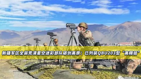 叶寸心的高精狙技艺,精确打击的极致表现,叶寸心,高精狙技艺展现精确打击的极致魅力