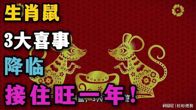 澳门六福生肖鼠开奖结果及其背后的文化意义,澳门六福生肖鼠开奖结果与文化内涵解读