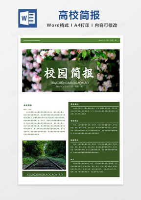 简报模板,高效信息传递的基石,简报模板,高效信息传递的基石工具