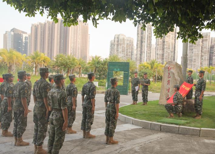 中国最新军改后编制，重塑国防力量的战略调整，中国最新军改编制重塑国防力量战略调整揭秘