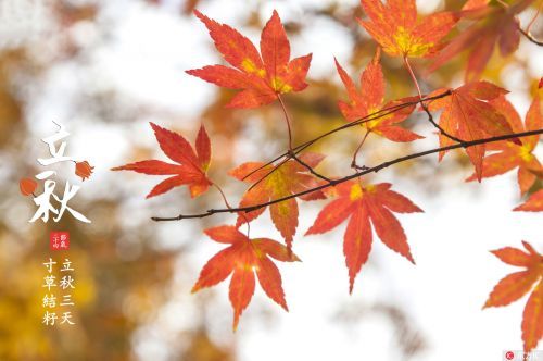 立秋时刻,探寻2022年秋天的起点,立秋探寻,2022年秋天的起点启幕时刻