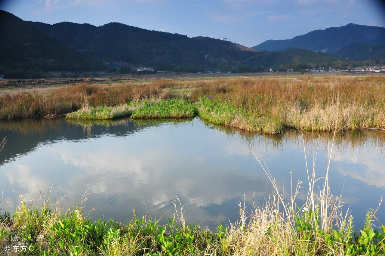 别12水上飞机，探索水上飞行的先驱，水上飞行先驱，别12水上飞机探索之旅