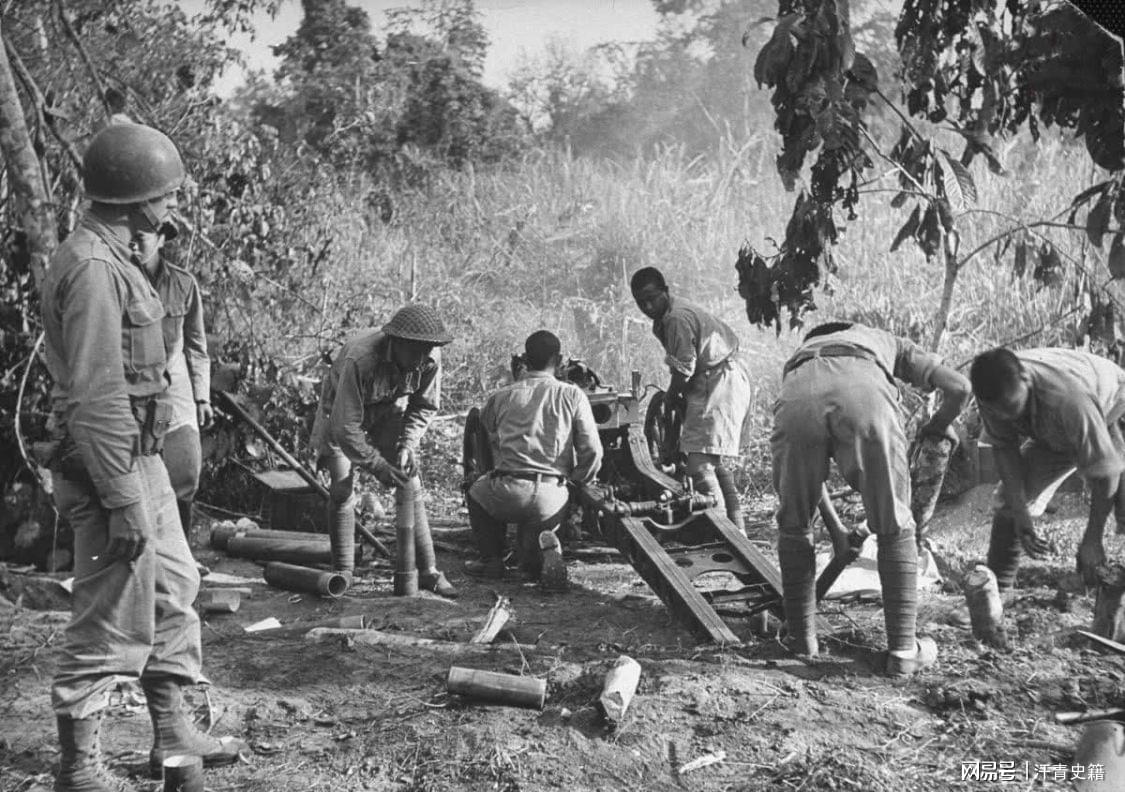 缅甸远征军，滞留人数与复杂现实，缅甸远征军，滞留人数与复杂现实的探究