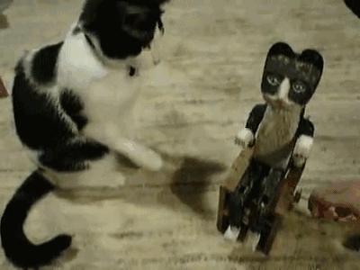 裤裆藏雷的原型,历史与文化的交织,裤裆藏雷,原型背后的历史与文化交织