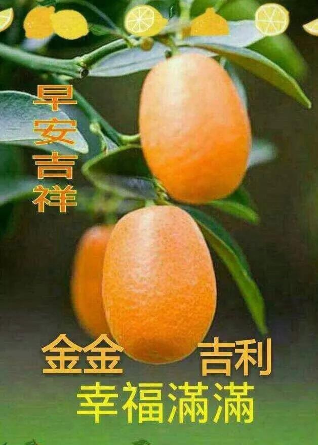 天涯论坛是否暂停运营,探讨其现状和未来展望(2023年),天涯论坛现状与未来展望,暂停运营传闻及2023年展望