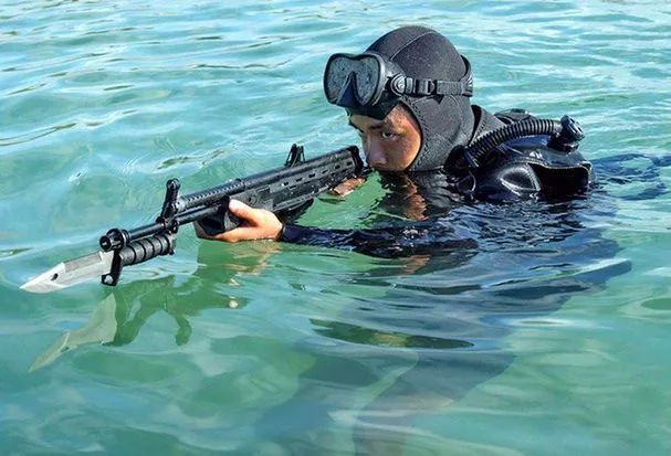 揭秘蛟龙突击队,战力非凡的特种部队传奇,蛟龙突击队,战力非凡的特种部队传奇揭秘