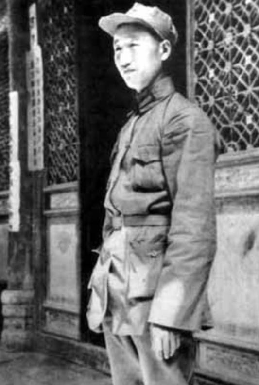 一肖规律破解,揭秘背后的奥秘,揭秘一肖规律背后的奥秘