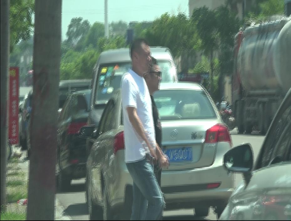 一肖规律破解,揭秘背后的奥秘,揭秘一肖规律背后的奥秘