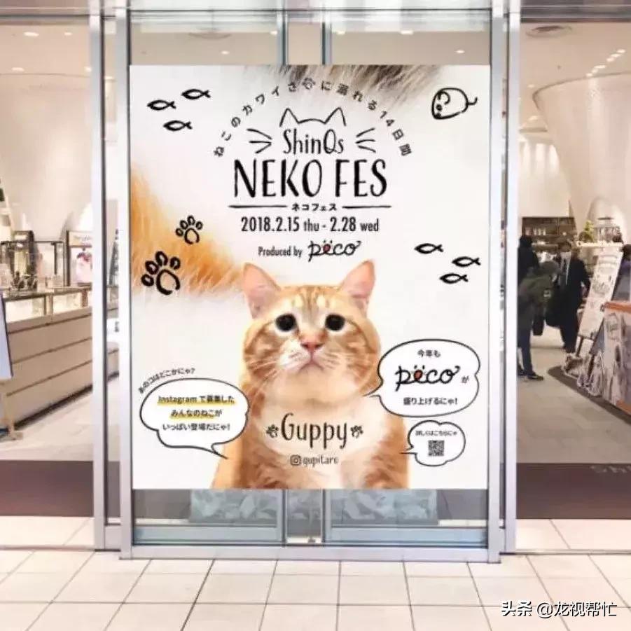 日本突然找上中国,背后的深层原因与未来展望,中日关系背后的深层原因,日本的突然行动与未来展望