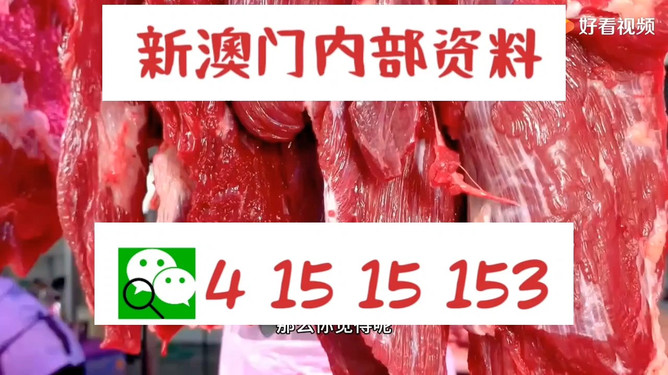 新澳门内部资料精准大全与港澳论坛深度探讨，澳门内部资料精准大全与港澳论坛深度探讨研讨会