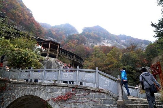 罗田县最近新闻大事概述,罗田县最新新闻大事概览