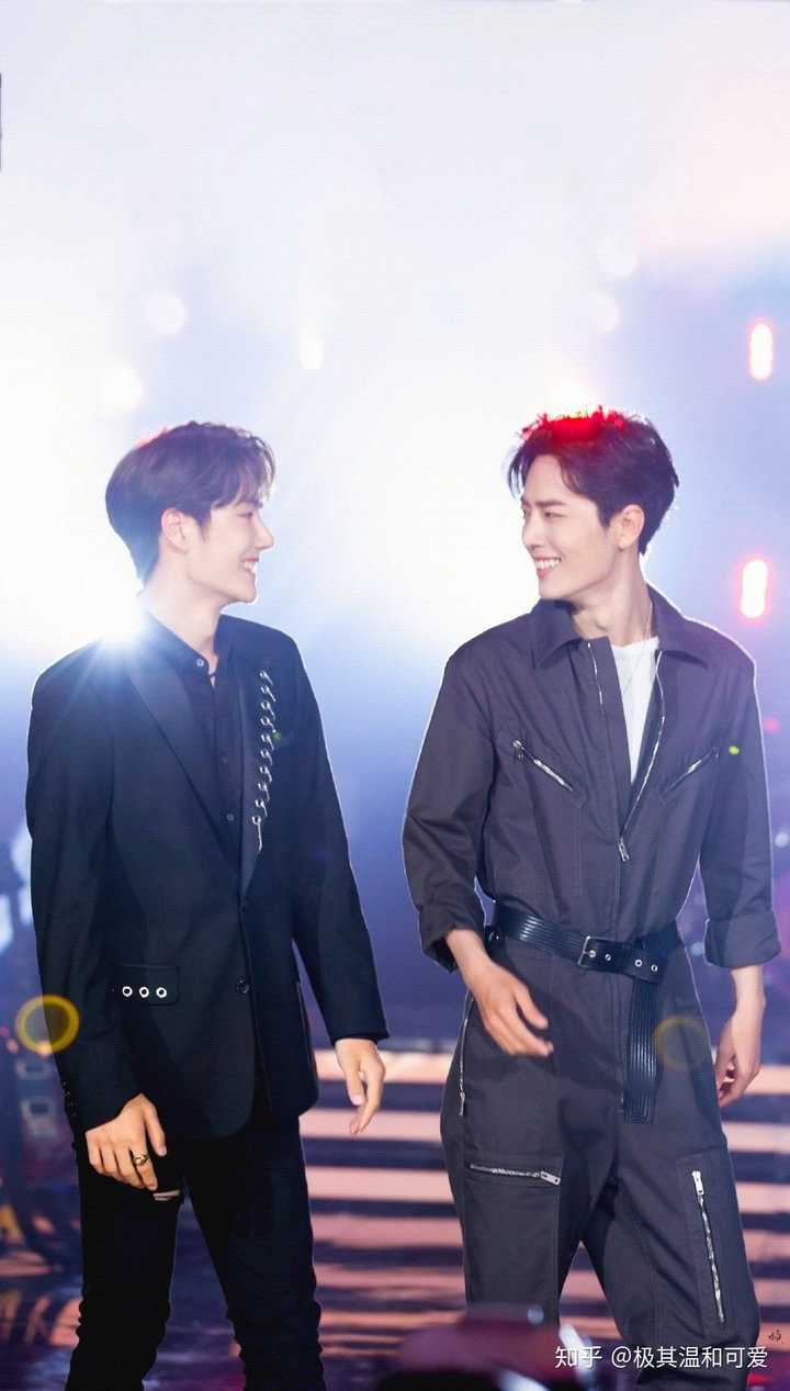 王中王一肖资料一肖王,探寻背后的故事与意义,揭秘王中王一肖资料背后的故事与寓意