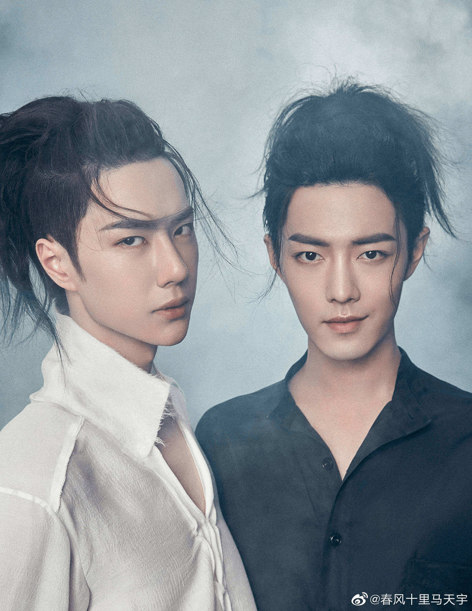 王中王一肖资料一肖王,探寻背后的故事与意义,揭秘王中王一肖资料背后的故事与寓意