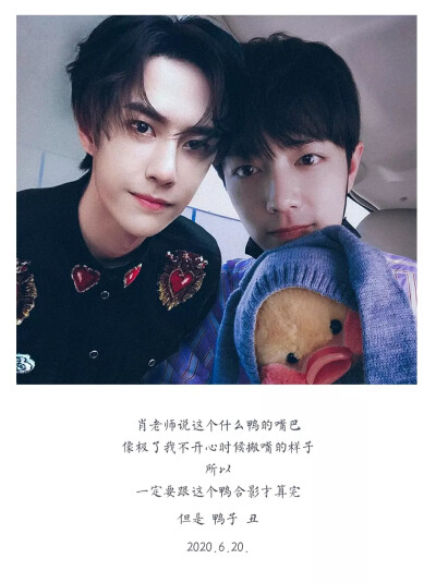 王中王一肖资料一肖王,探寻背后的故事与意义,揭秘王中王一肖资料背后的故事与寓意