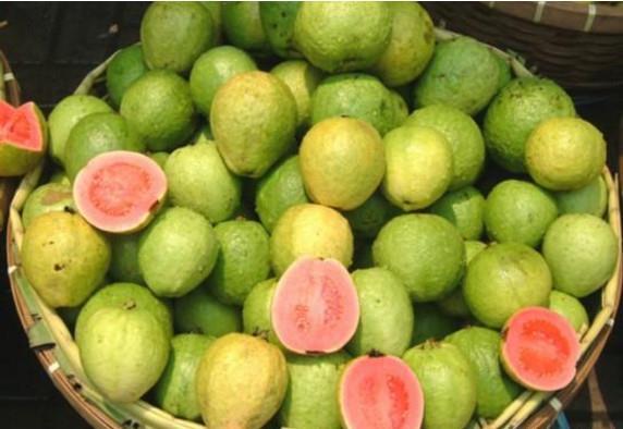 福建台湾局势,复杂交织的地理、历史与现实因素,福建台湾局势,地理、历史与现实的复杂交织