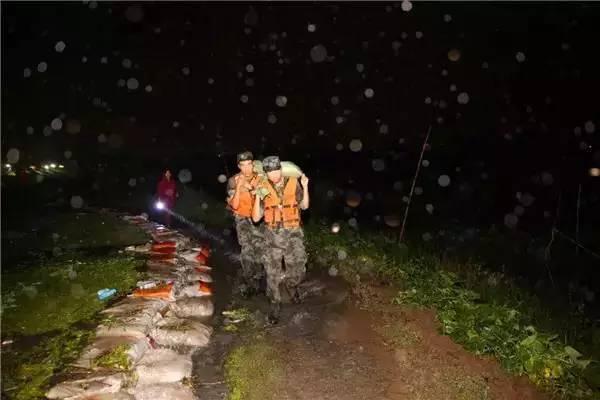 德国第12集团军战史,荣耀与牺牲的篇章,德国第12集团军战史,荣耀与牺牲的传奇篇章