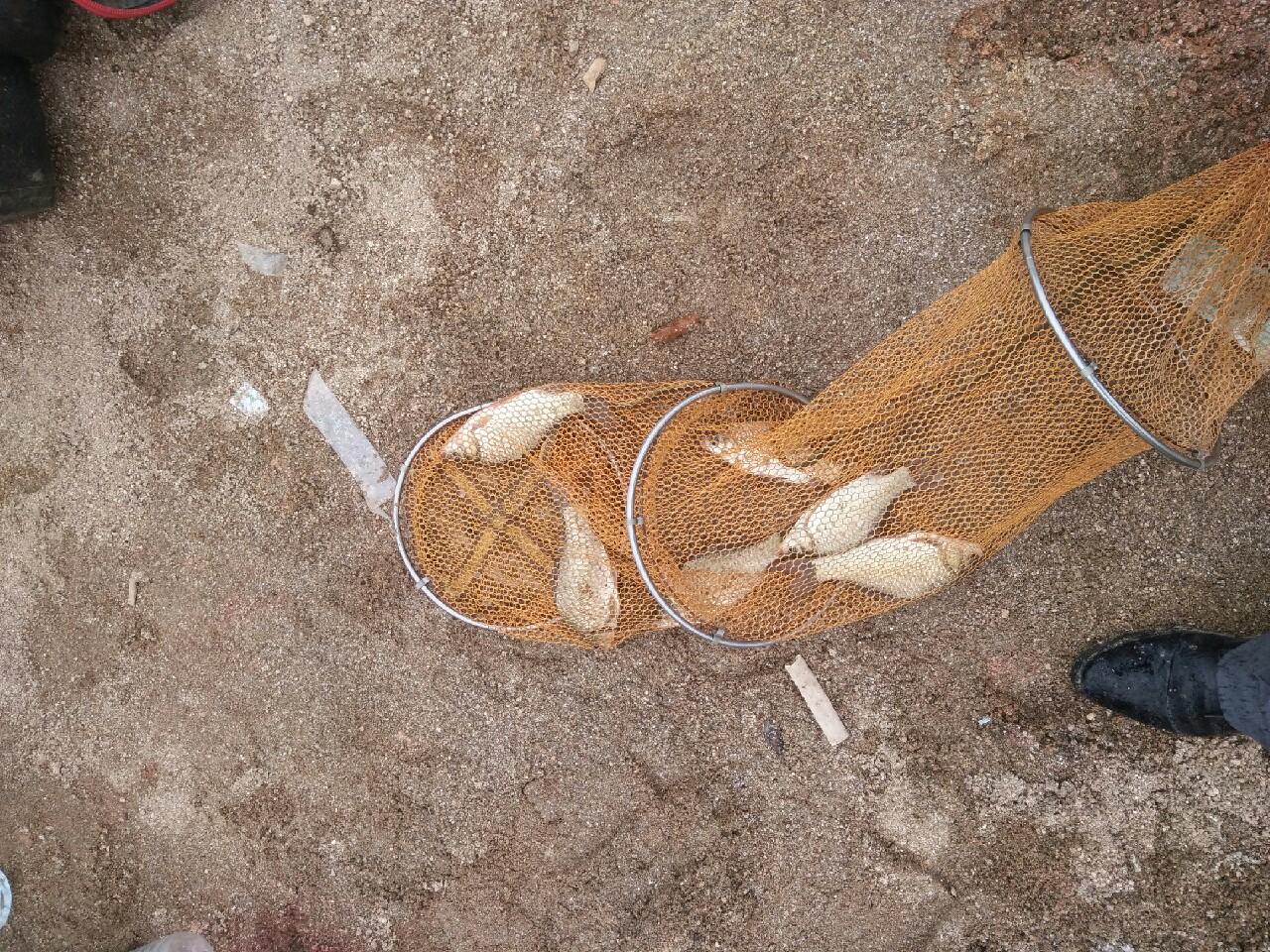 空军基地规模与人员配置,探究一个空军基地有多少人,空军基地规模与人员配置深度探究,一个空军基地的人员数量揭秘