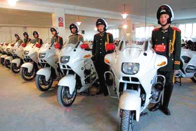 解放军国宾护卫队,荣耀与责任的象征,解放军国宾护卫队,荣耀与责任的典范