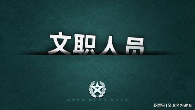 军地门户网站概述及其功能特点,军地门户网站概览,功能特点与概述