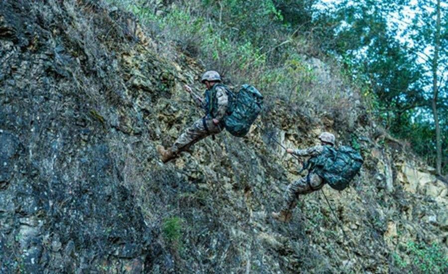 蛟龙突击队与猎鹰突击队,谁更胜一筹?,蛟龙与猎鹰,突击队实力对比