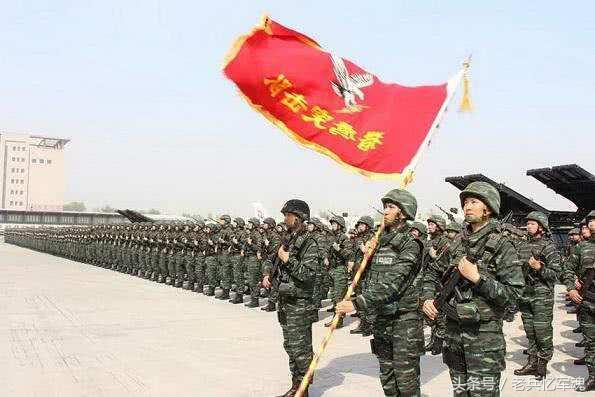 蛟龙突击队与猎鹰突击队,谁更胜一筹?,蛟龙与猎鹰,突击队实力对比