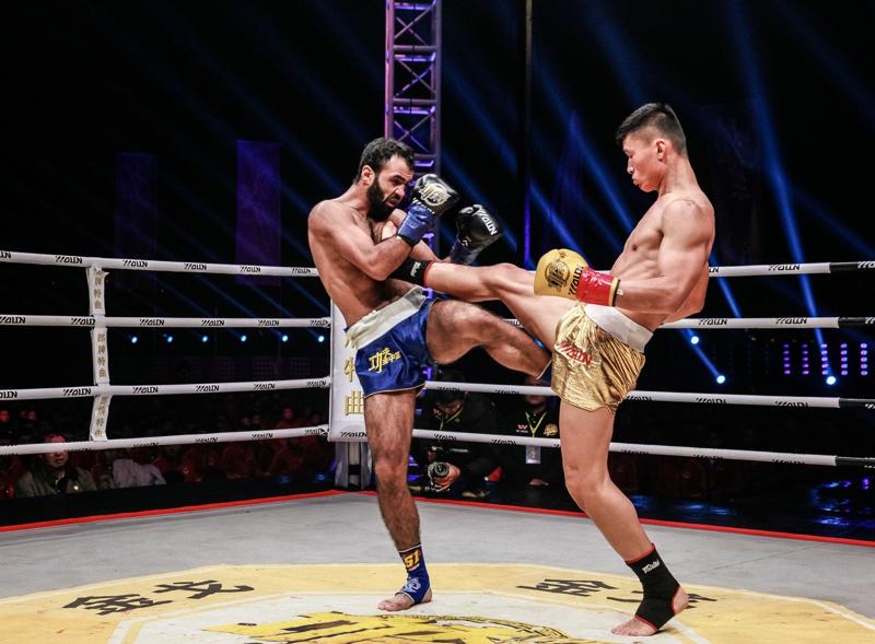 王中王四肖精选一肖——深度解析与百度大数据洞察,王中王四肖精选一肖,深度解析与百度大数据全方位洞察