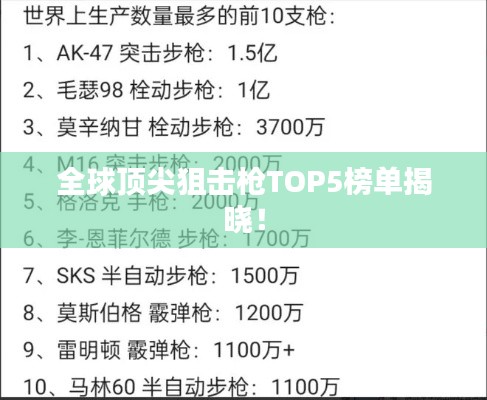 步枪排行榜前十名,深度解析当今最受欢迎的步枪型号,步枪排行榜前十名深度解析,当今最受欢迎的步枪型号综述