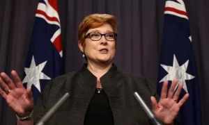 澳大利亚女国防部长,领导力与国防力量的展现,澳大利亚女国防部长,领导力与国防力量的闪耀典范