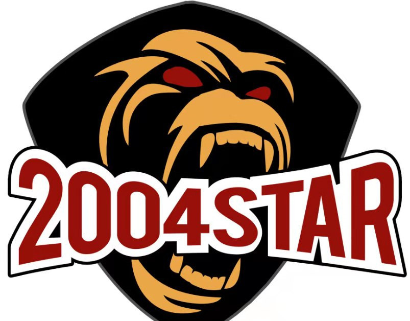 王中王04期指一生肖——探寻背后的神秘与魅力，王中王04期指一生肖，神秘魅力背后的探寻