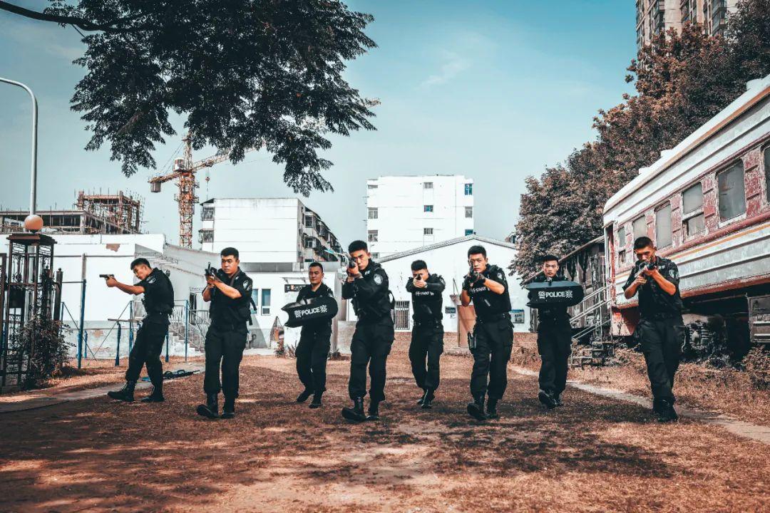 女生读警校哪个专业好,深度解析与前景展望,女生警校热门专业深度解析与前景展望,选择最佳专业路线