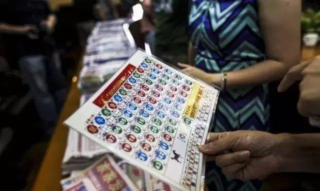 一肖中特期期准资料的功能介绍及应用解析，一肖中特期期准资料功能解析与应用指南