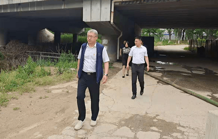 探索未来,2025天天开好彩大全第176期展望,展望2025,未来彩好每一天,第176期深度探索